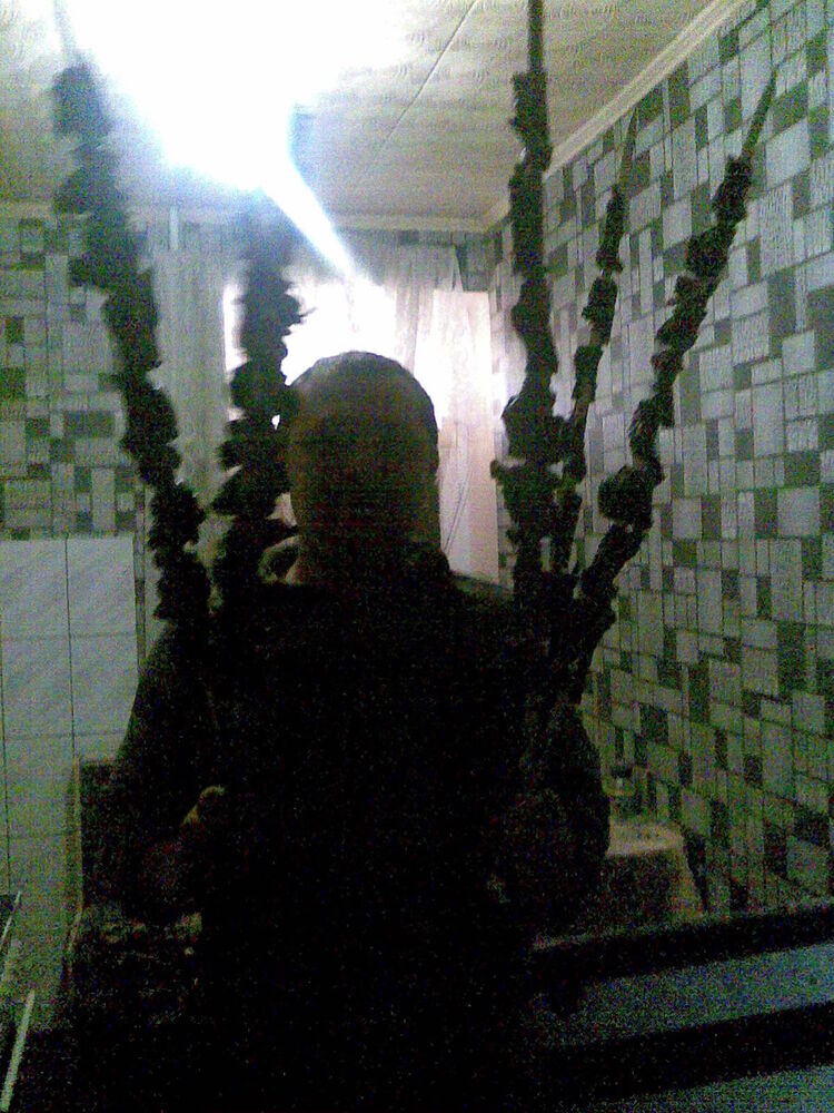 ���������� ����������, ���� ������� Alex, 45 ���, ������������ ��� ������, ����� � ���������, c�������� ���������