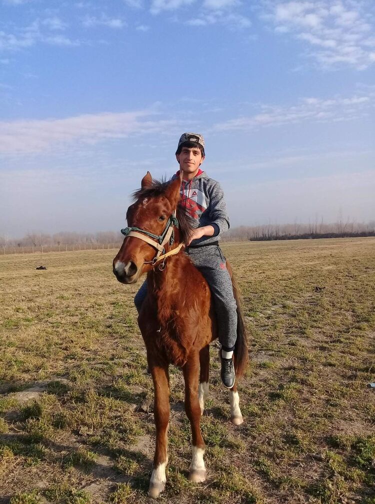  14582090  KHABIB, 31 ,    