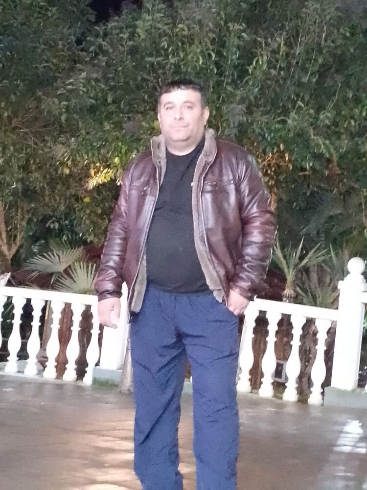  43382350  , 41 ,    