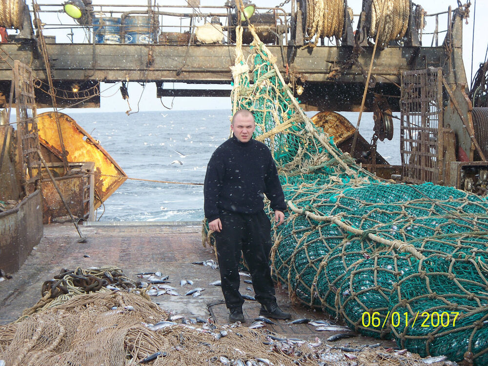  54255700  Amigo, 40 ,    