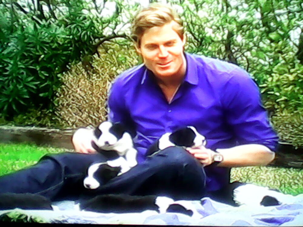 ���� 5102890 ������� �������, 46 ���, ���� ���������� � ������