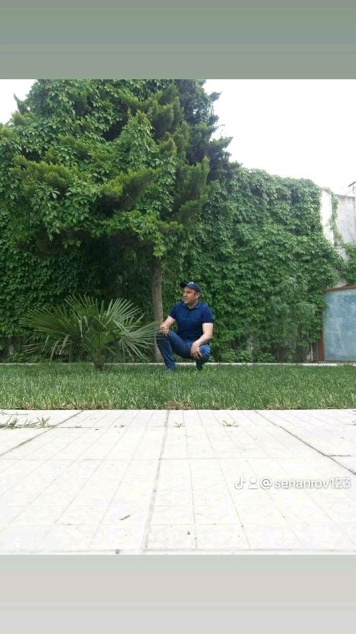  37567940  , 43 ,    