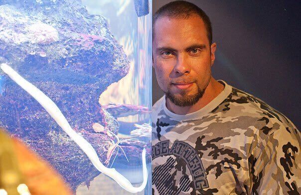 ���������� ������, ���� ������� ������, 46 ���, ������������ ��� ����� � ���������, c�������� ���������