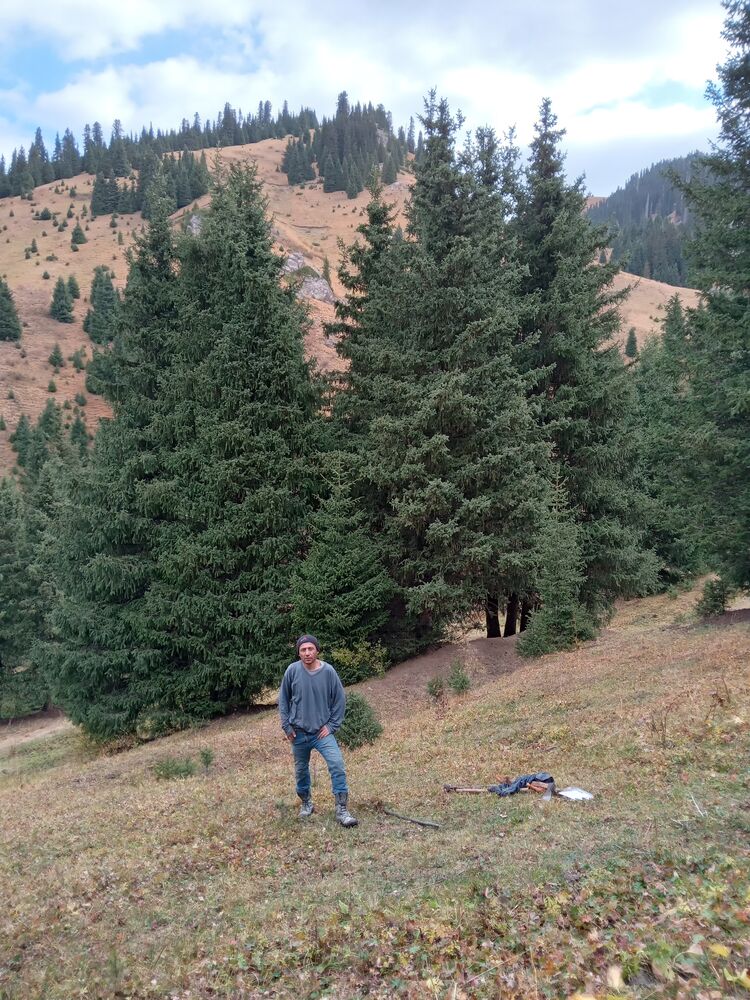 ���������� ������, ���� ������� ������, 41 ���, ������������ ��� ����� � ���������, c�������� ���������