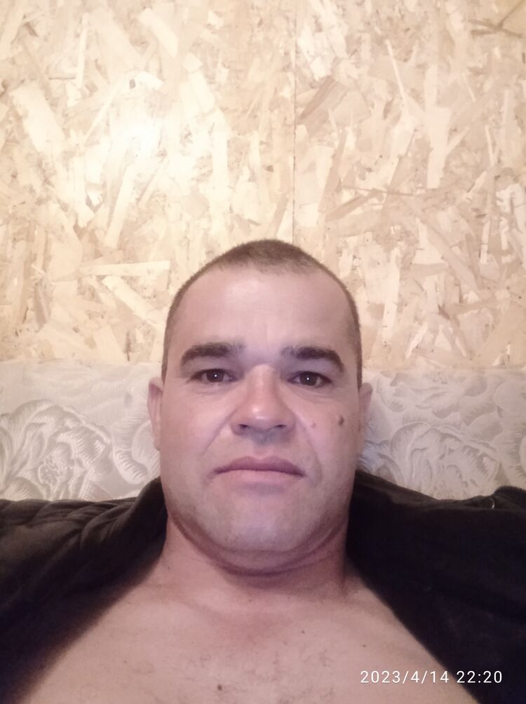  33841620  , 44 ,    