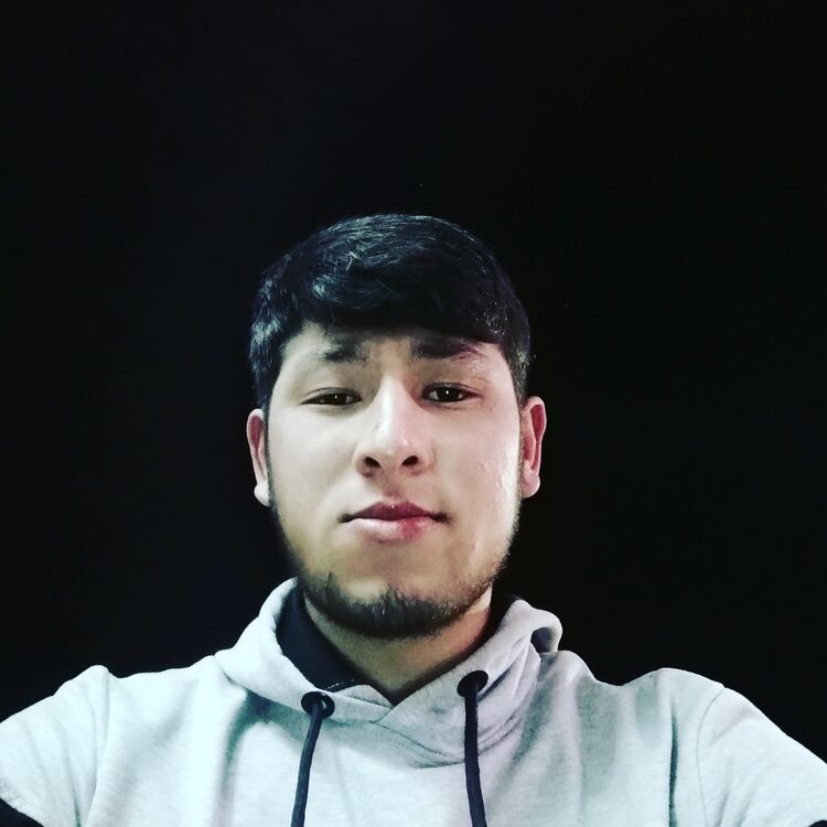 ���� 37503930 ����� �������, 24 ����, ���� ���������� � ������