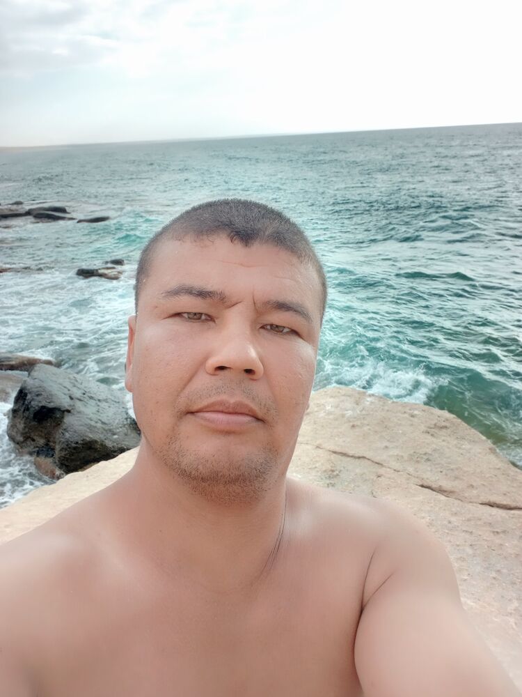  36261730  , 33 ,    