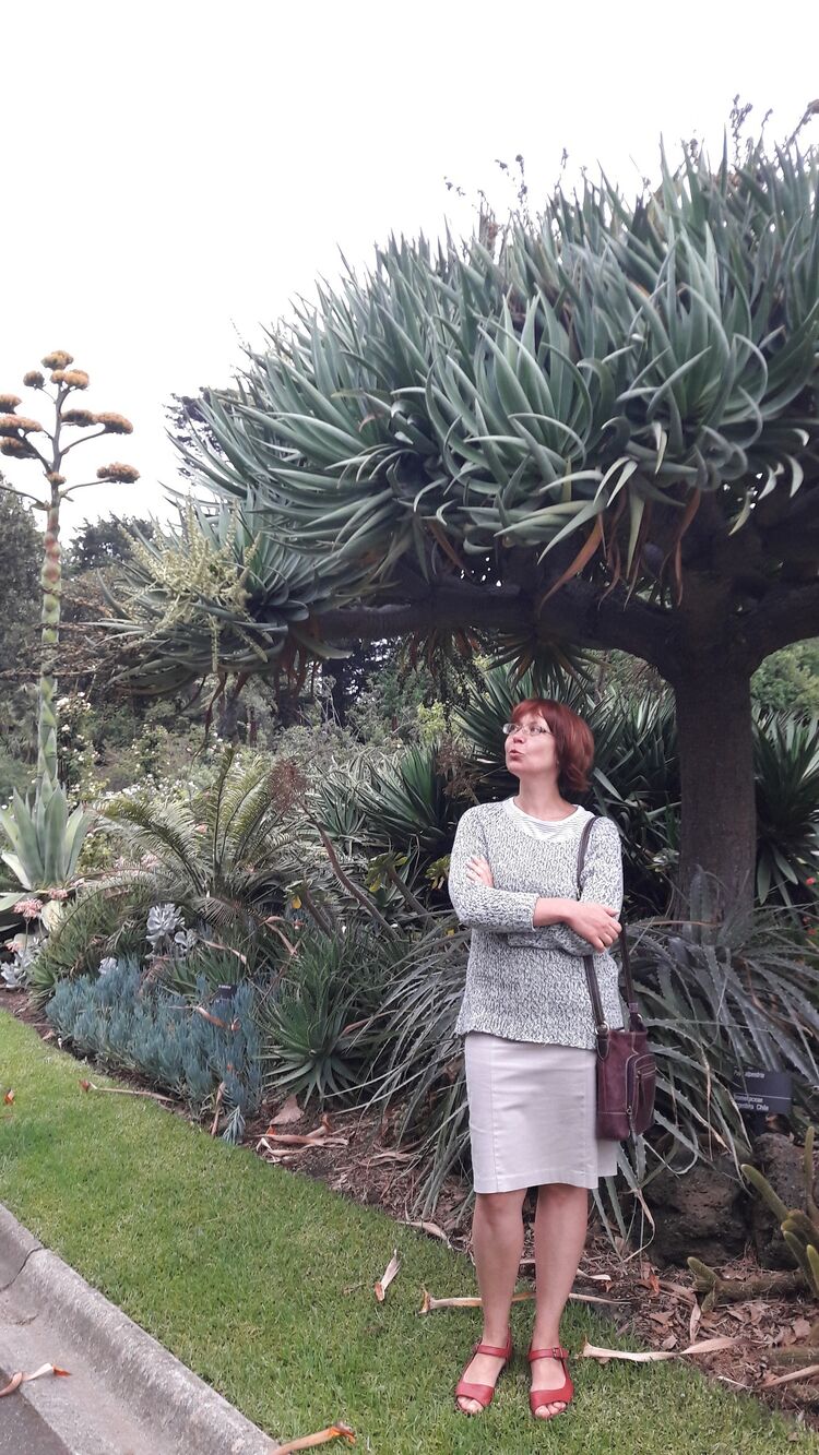 ���������� �����-���������, ���� ������� �����, 54 ����, ������������ ��� ����� � ���������, c�������� ���������