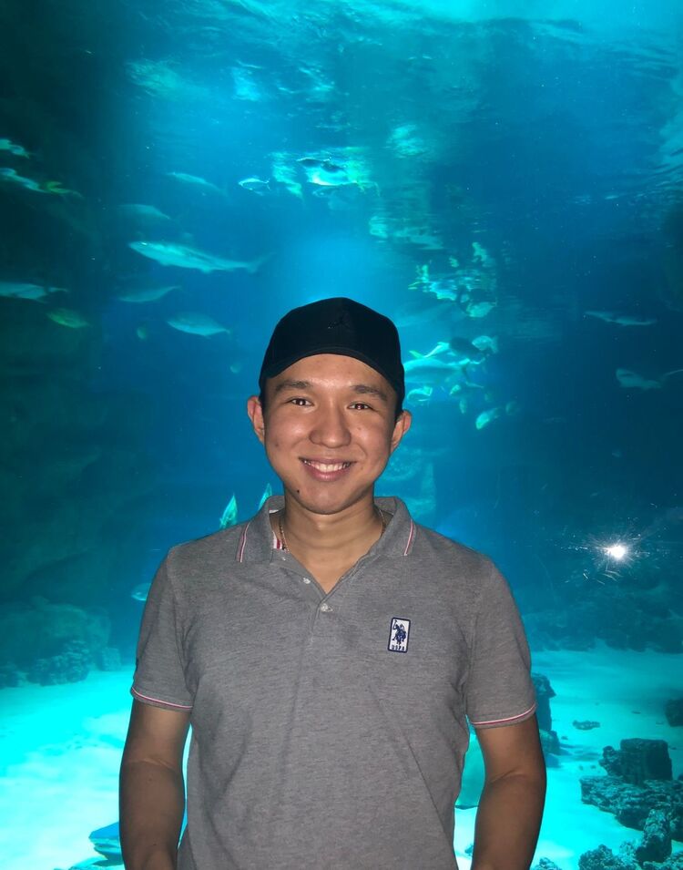 ���� 55230620 ������� ���������, 28 ���, ���� ���������� � ������