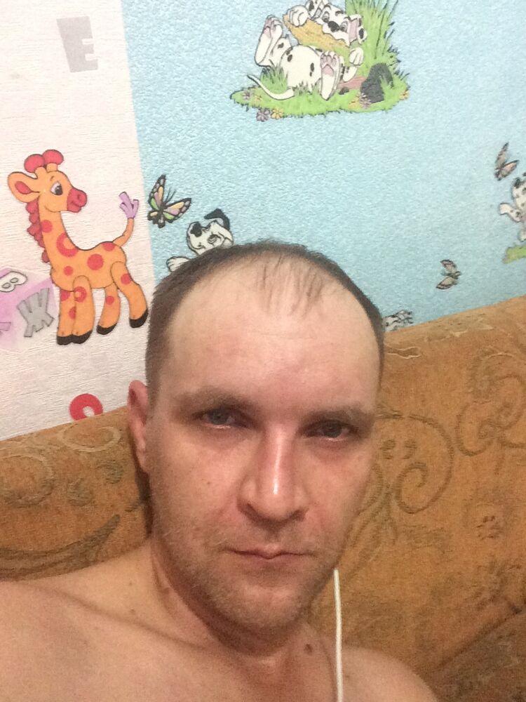  32913760  , 43 ,    