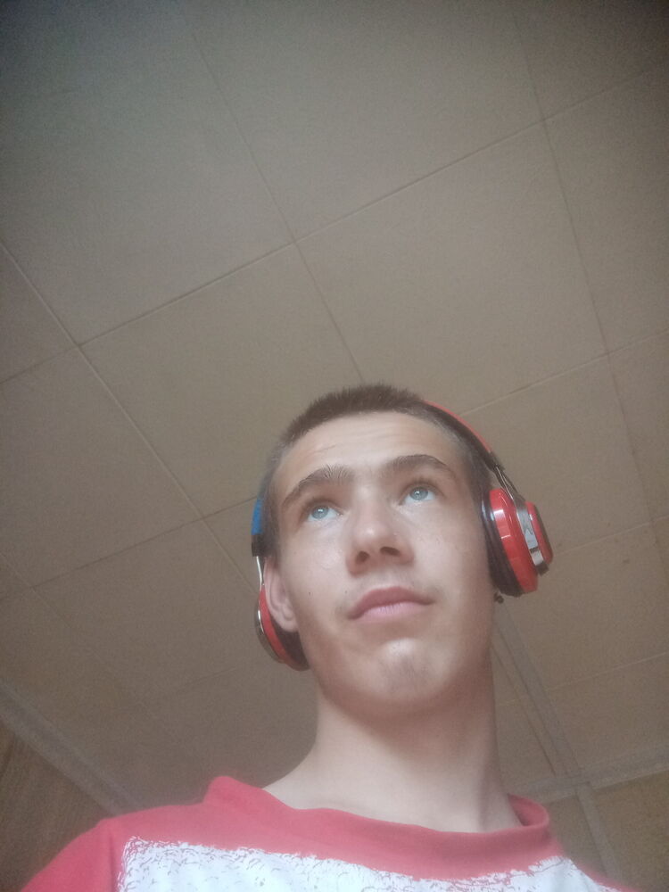  29293510  , 23 ,    