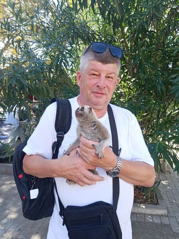 ���� 55814060 ������� �������, 62 ����, ���� ���������� � ��������