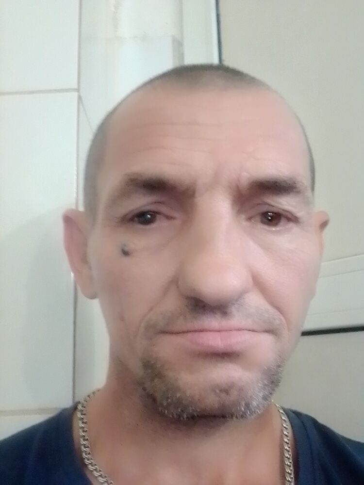  23808970  , 49 ,    -