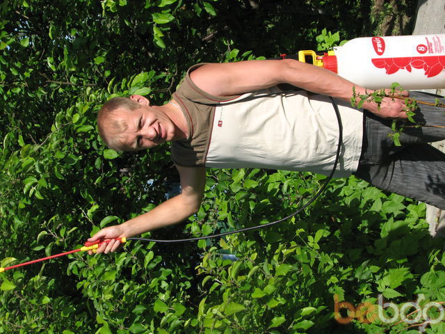  ,   Ded Moroz, 40 ,   ,   , c 