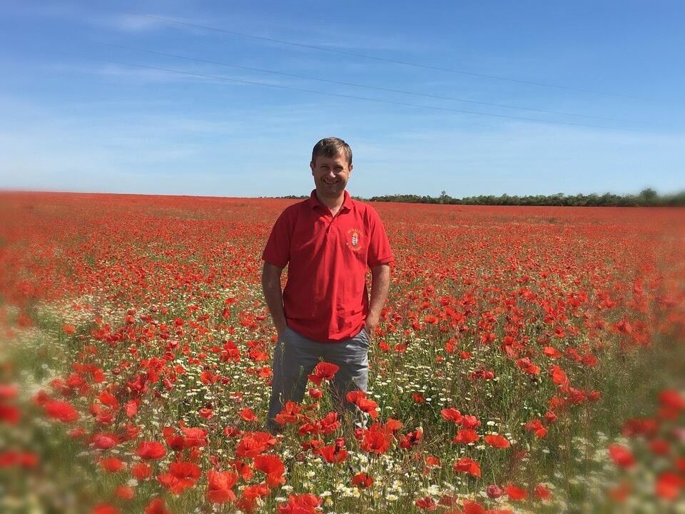 ���������� �����������, ���� ������� ������, 49 ���, ������������ 