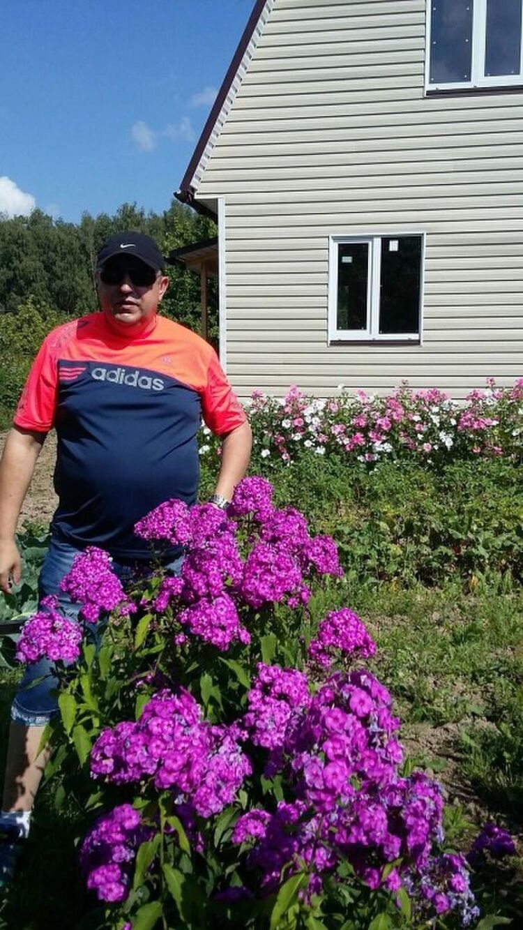 ���������� ����, ���� ������� ����, 65 ���, ������������ ��� ����� � ���������, c�������� ���������