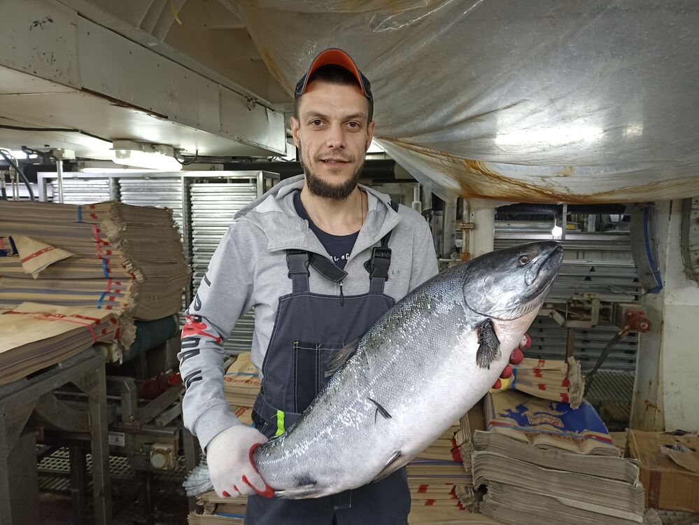 ���������� �����������, ���� ������� ����������, 35 ���, ������������ ��� ������, ����� � ���������, c�������� ���������