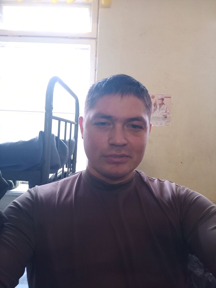  33229520  , 37 ,    