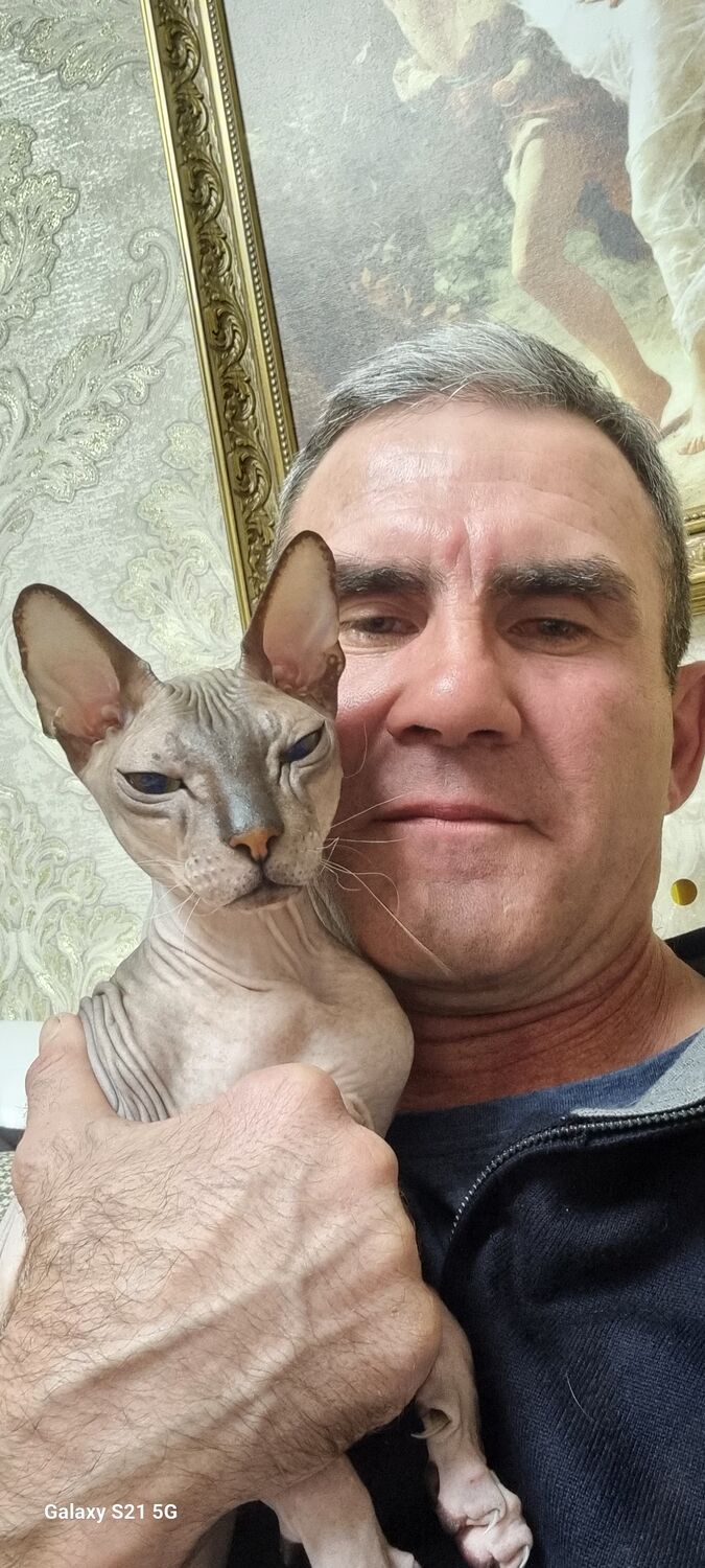 ���� 55896420 ������� ������, 50 ���, ���� ���������� � ��������������