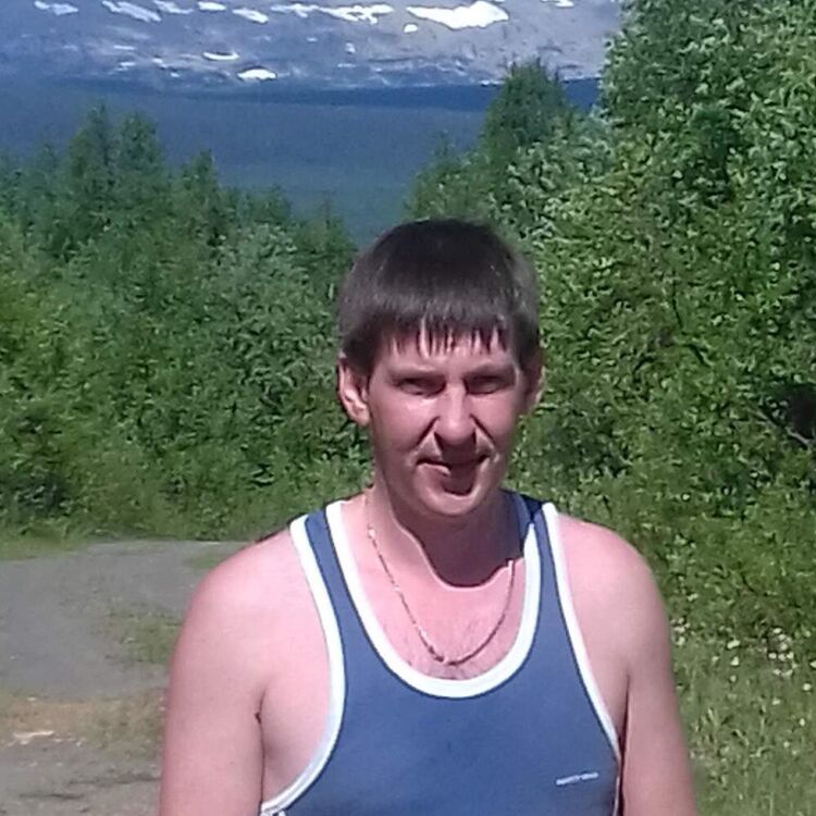  28404640  , 39 ,    