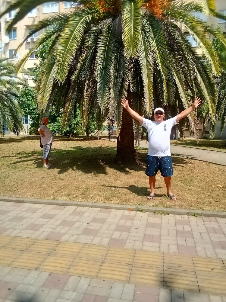 ���� 39079960 ������� ����, 37 ���, ���� ���������� � ���������