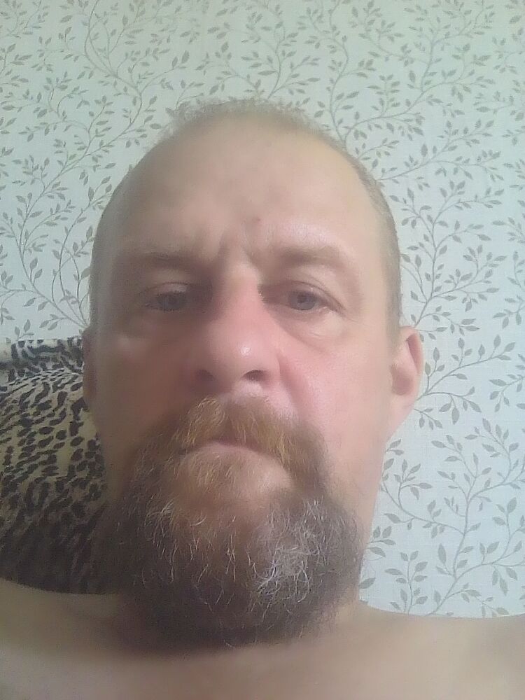  23416560  , 49 ,    