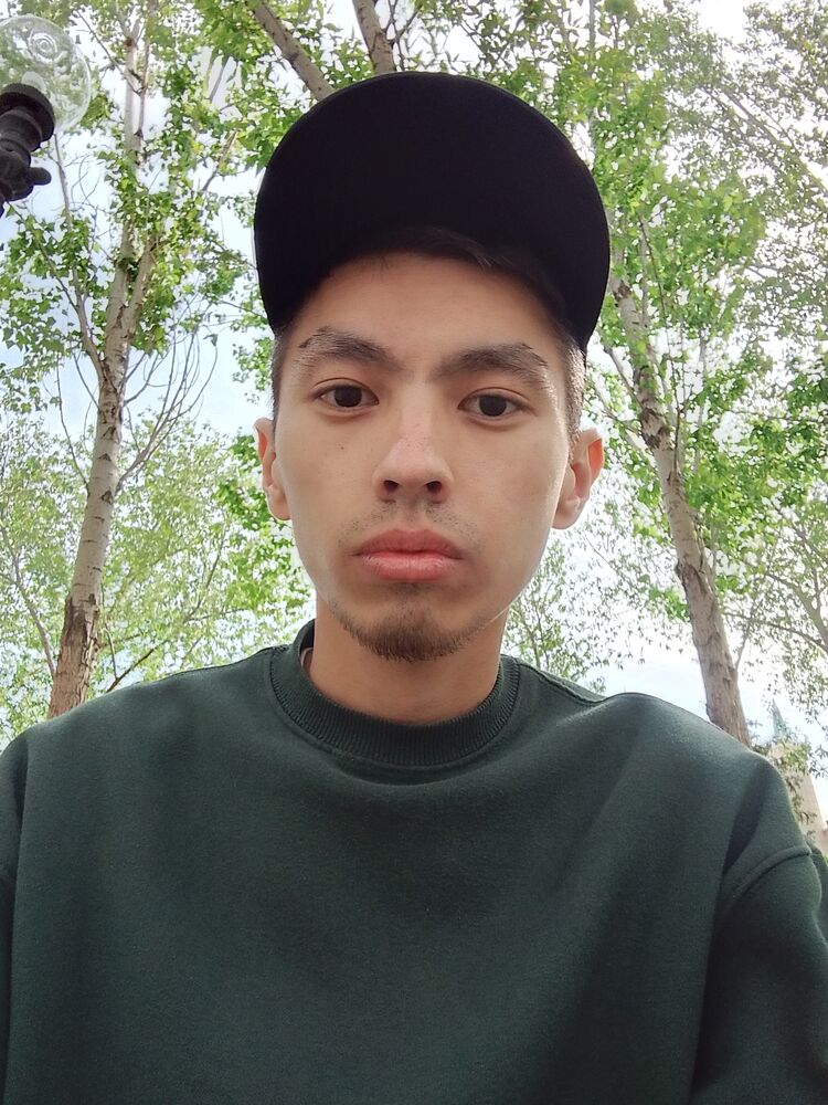  51238010  , 31 ,    