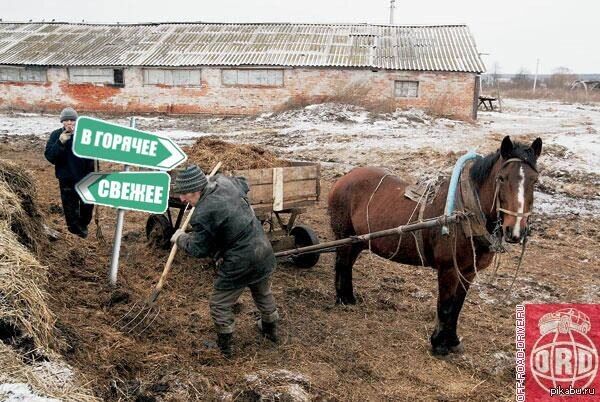 ���������� �����-���������, ���� ������� ���������, 53 ����, ������������ 