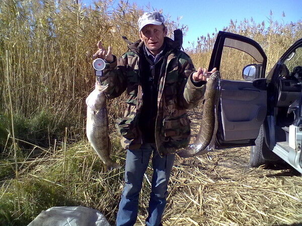 ���������� �����, ���� ������� Alex, 64 ����, ������������ ��� ������