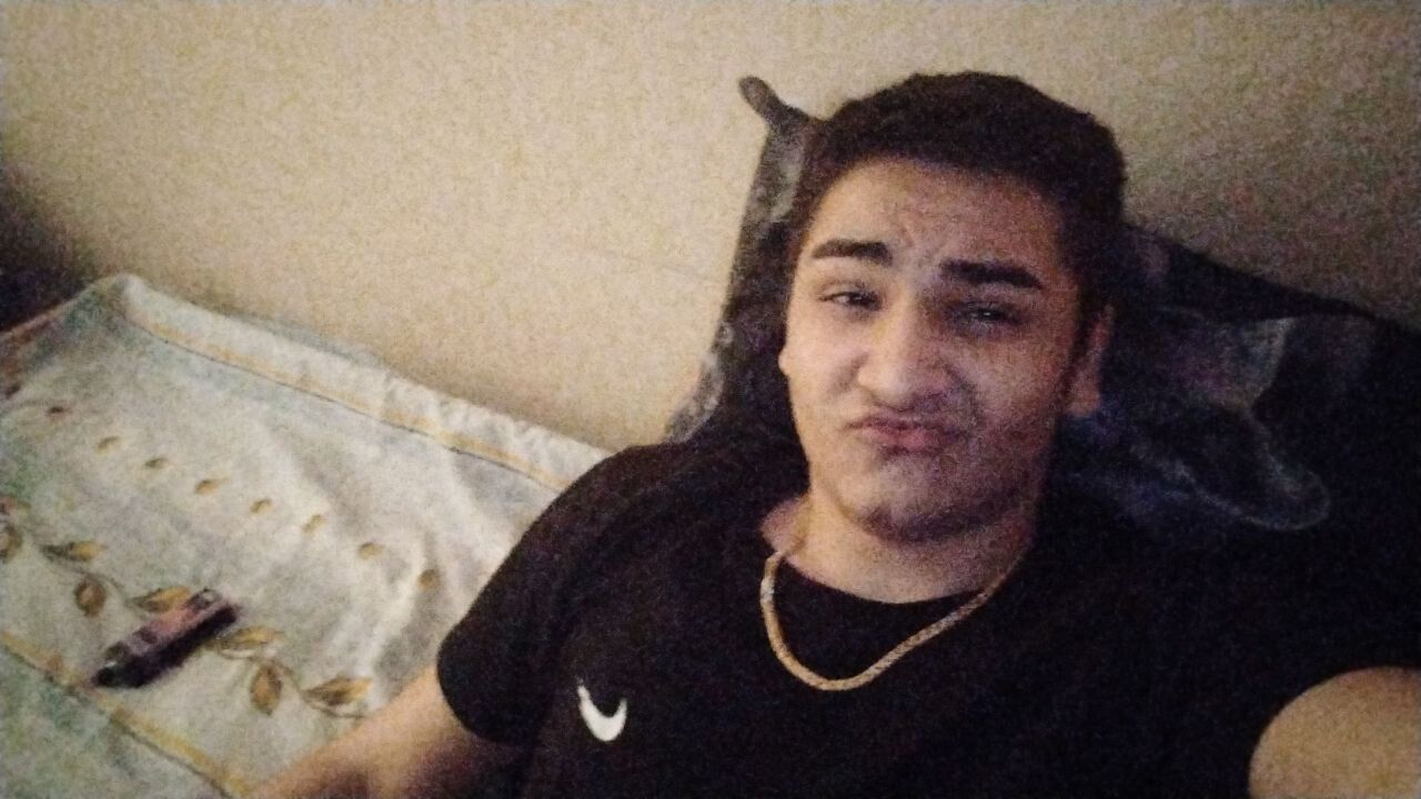  50441130  , 19 ,    
