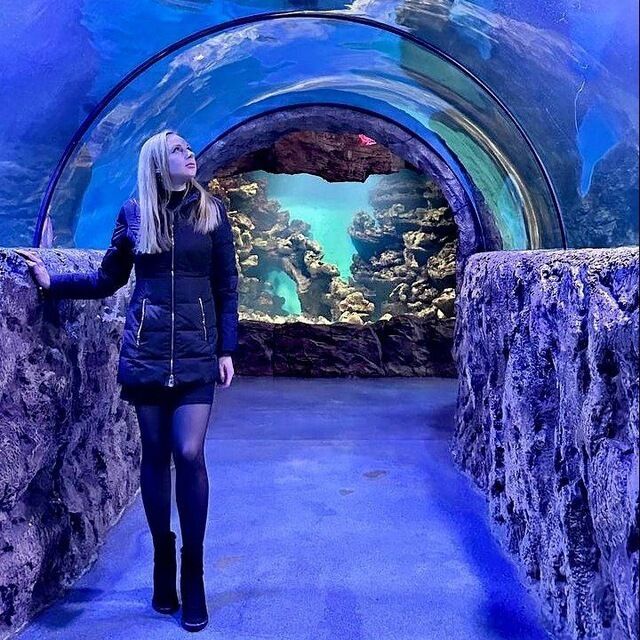 ���������� ���������, ���� ������� ������, 34 ����, ������������ ��� ������, ����� � ���������, c�������� ���������