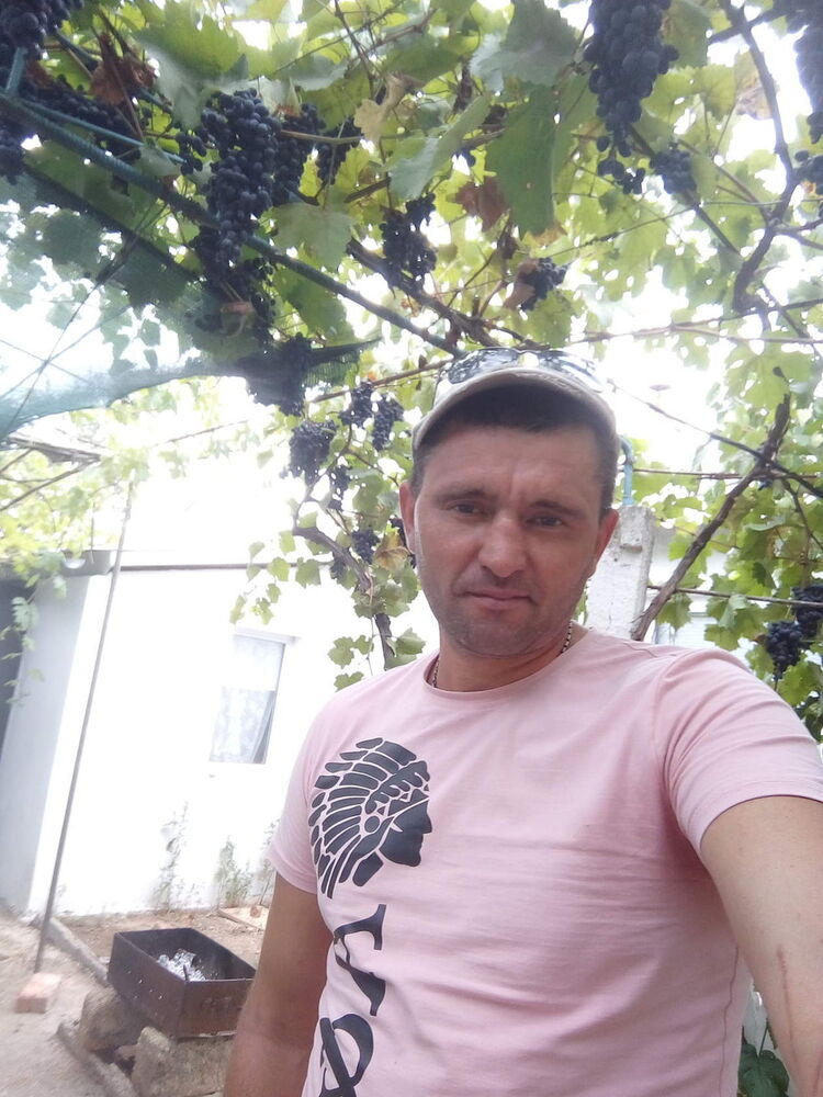  15995310  , 47 ,    