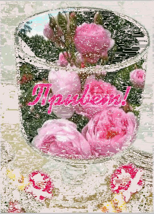 ���� 35705450 ������� ������, 47 ���, ���� ���������� � ������