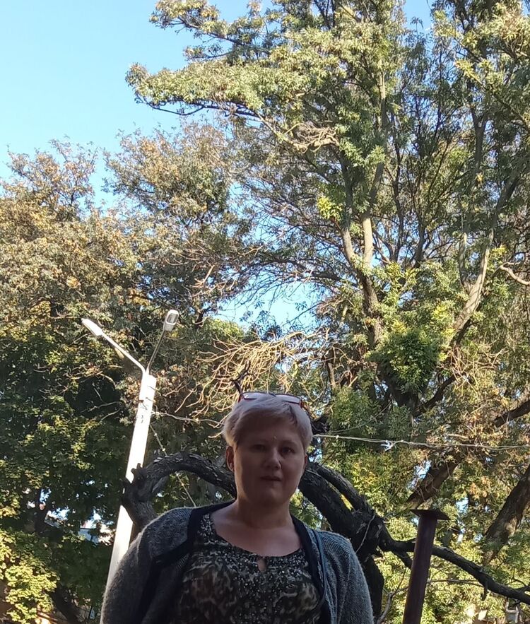  24115220  , 45 ,    