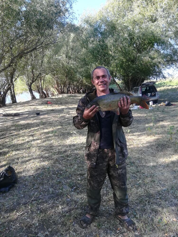 ���� 24537380 ������� �������, 43 ����, ���� ���������� � ������