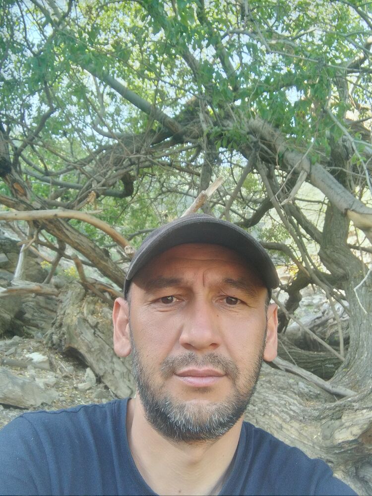  28183090  , 44 ,    
