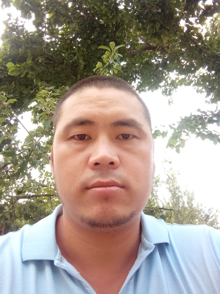  45354480  , 28 ,    