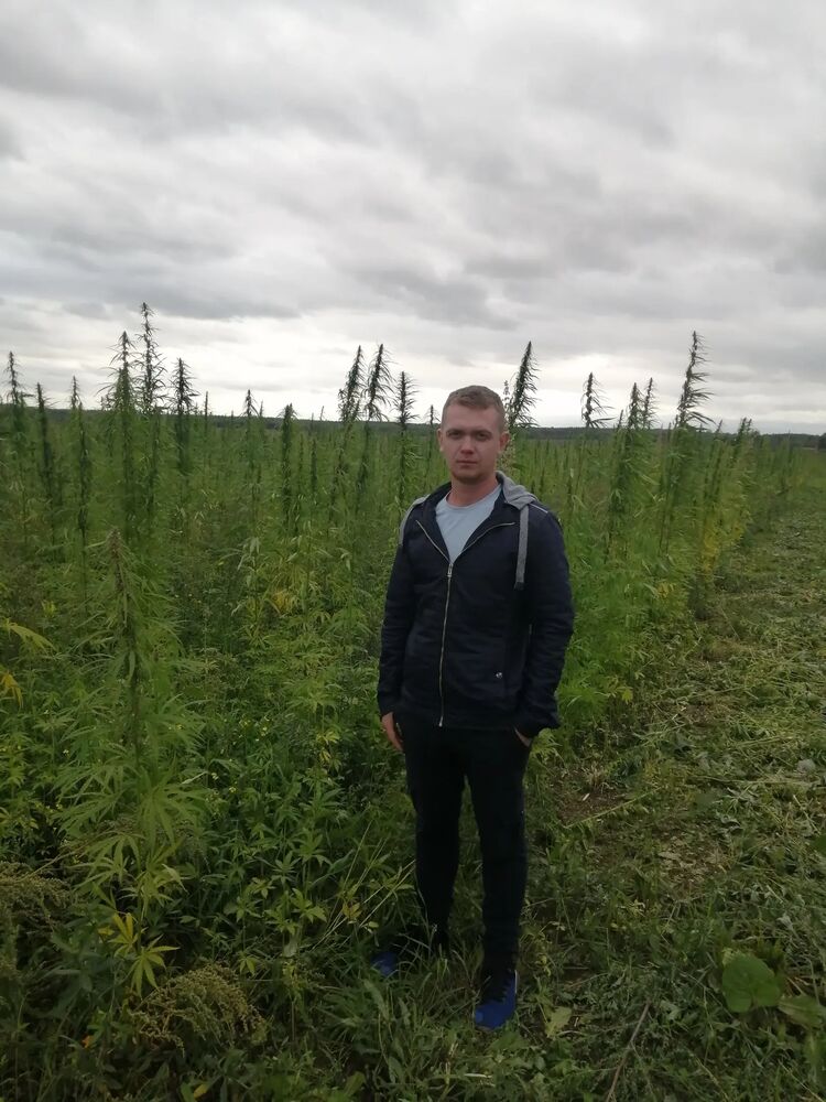 ���� 33992520 ������� �������, 30 ���, ���� ���������� � �������