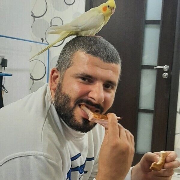  53638980  Ramiz, 42 ,    