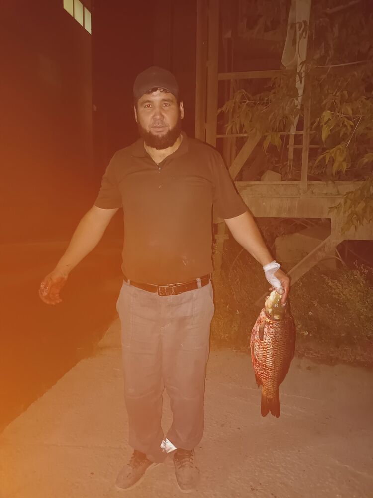 ���������� ������, ���� ������� ����, 38 ���, ������������ ��� ������, ����� � ���������