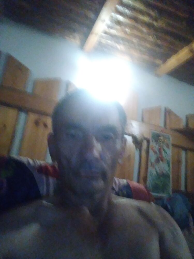  23347370  , 58 ,    