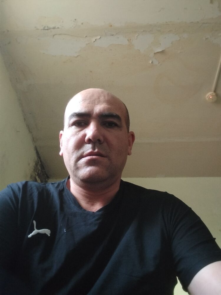  47795280  , 43 ,    