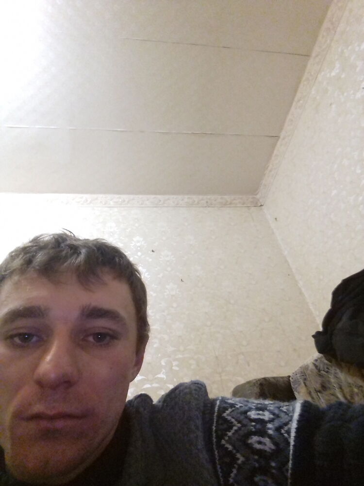 ���� 24932490 ������� ������, 31 ���, ���� ���������� � ��������