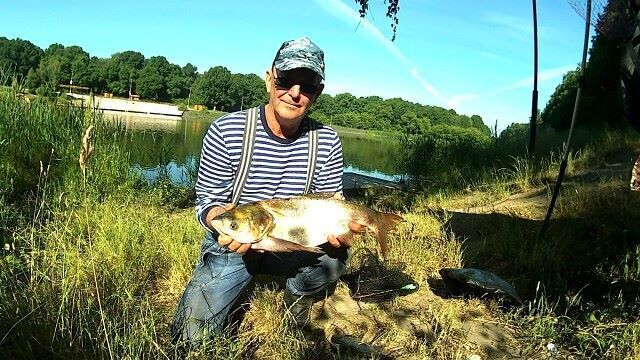  ,   EVGENIY, 66 ,   ,   