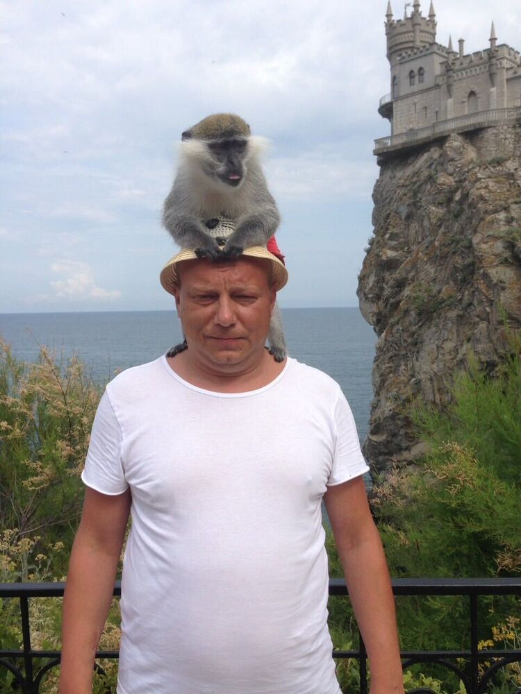 ���� 36881480 ������� �����, 48 ���, ���� ���������� � ������