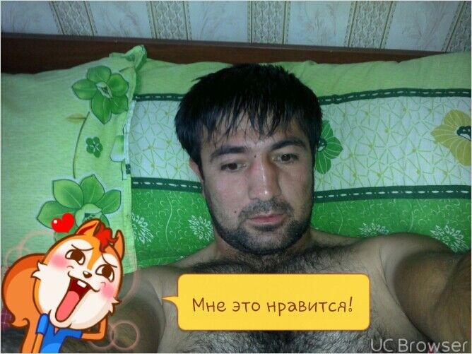  7458830  , 40 ,    