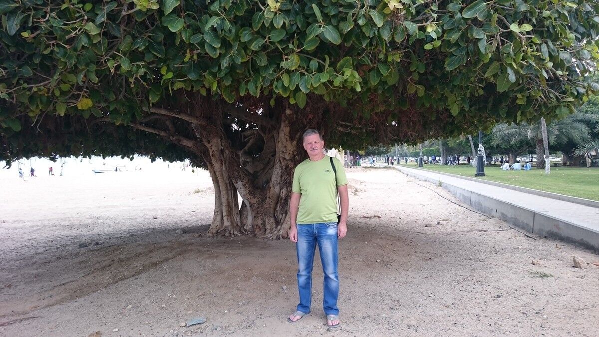  ,   Vladimir, 66 ,   ,   , c 