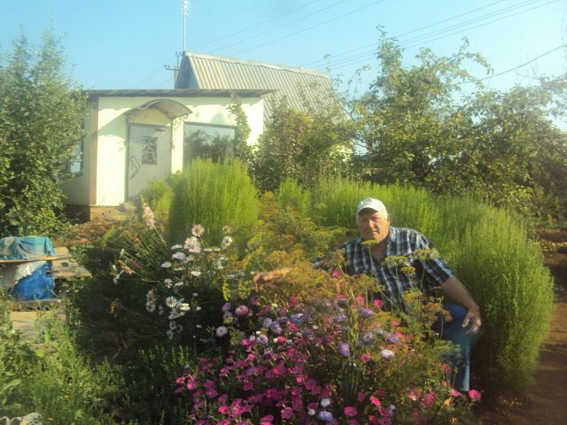 ���� 54960720 ������� ���������, 69 ���, ���� ���������� � ���������