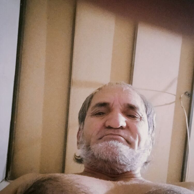  53555070  , 60 ,    -