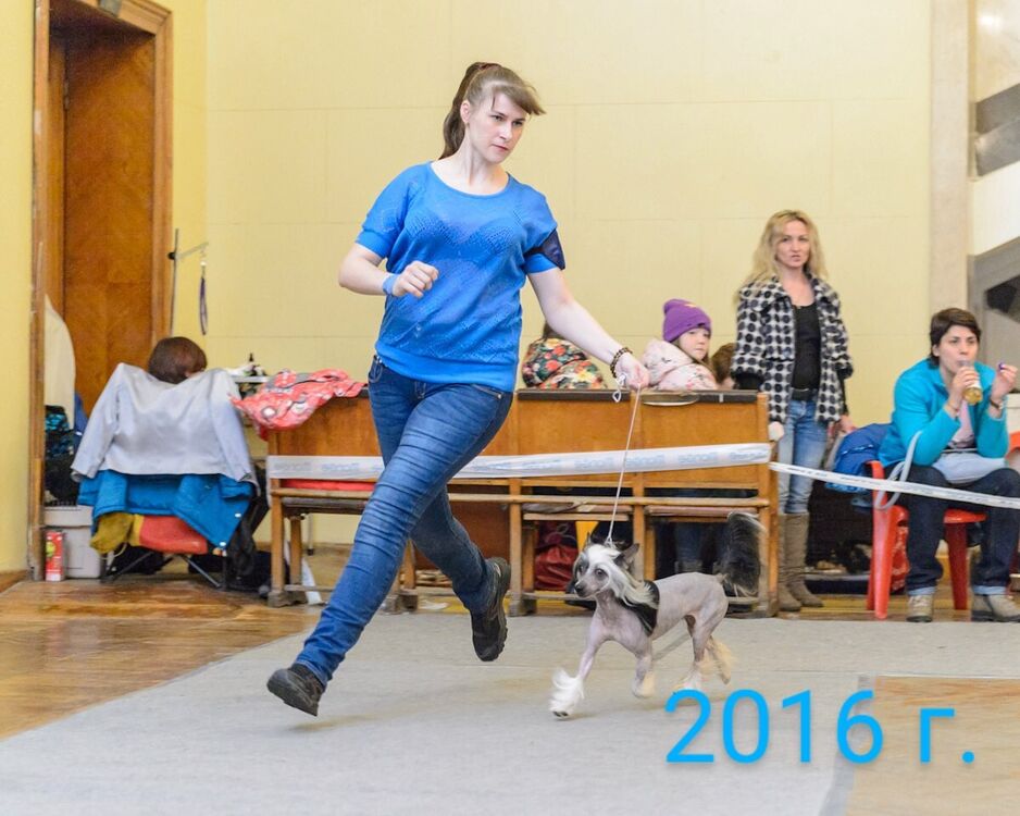 ���������� ������, ���� ������� ������, 44 ����, ������������ ��� c�������� ���������